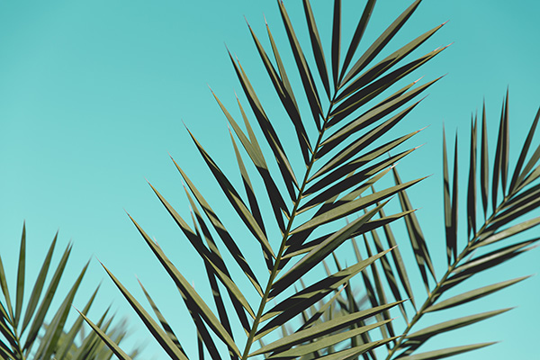 Example Image 3